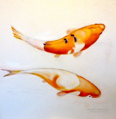 Singapore Goldfish Study - Acrylic - 40 x 40cms