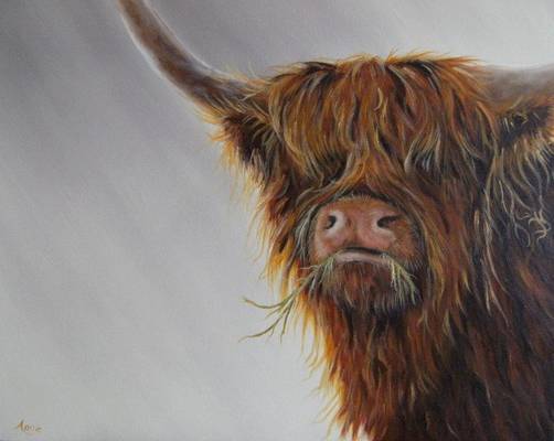 Hairy Coo