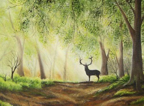 Love the effect the sunlight has on landscapes