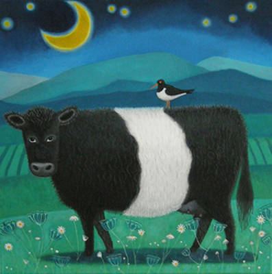 Moonlit Beltie - 30cm Square Acrylic