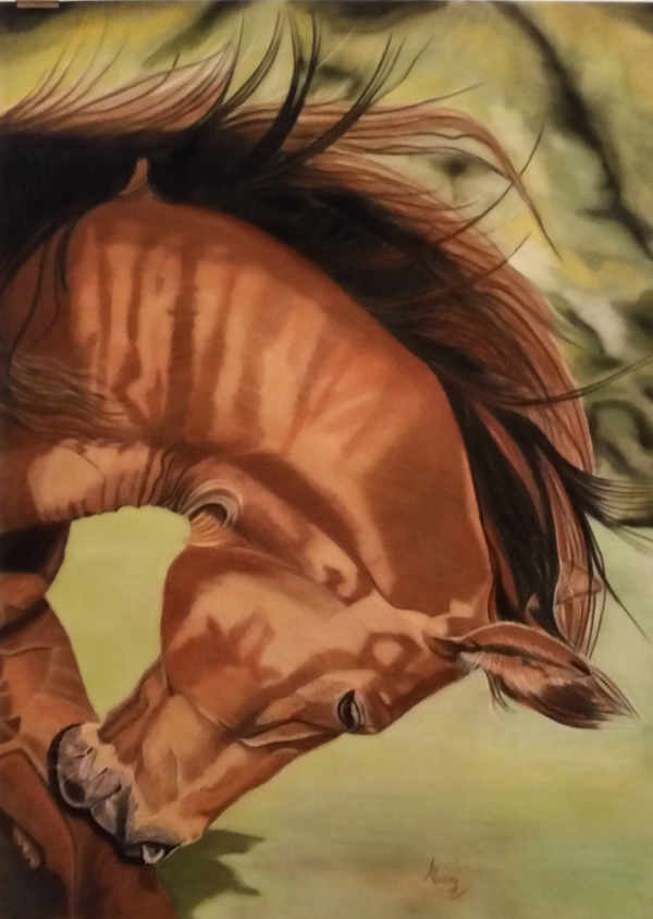 Scratch an Itch - Pastel on Velour - Framed - From a photograph by Karen Broemsick, Photo's for Artists 2015 - 35" x 27"