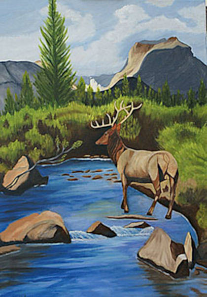 Stag - Oil on Canvas - 66cm x 92cm