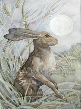  
Hare
