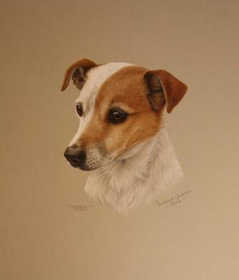 Todd - Gouache