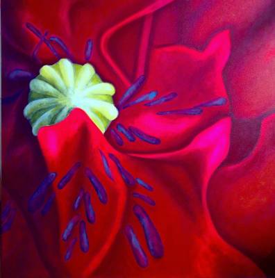 Poppy III - 76 x 76cm - Acrylic on canvas