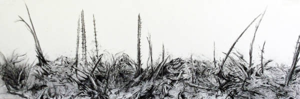 Felled (South) - Charcoal - 52 x 122cm (framed)
