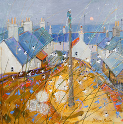 Portsoy Daisies