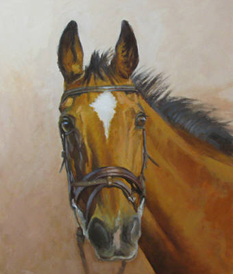 Sal - Oils - 14x12
