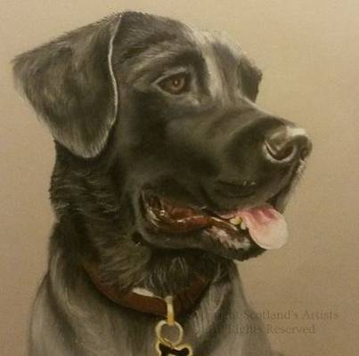 Jet - Pastels on Paper - 2015