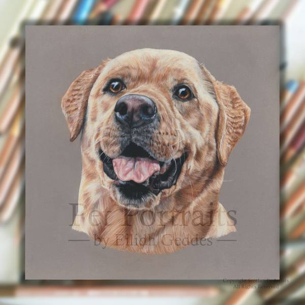 Bewley - Pastel - 25cm square - 2017