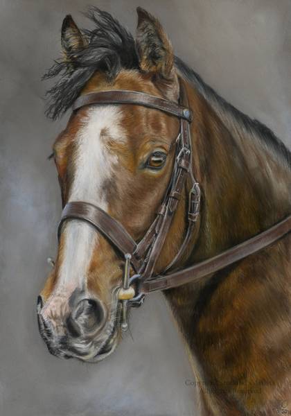 Boots - Pastel - 25 x 35cm - 2016