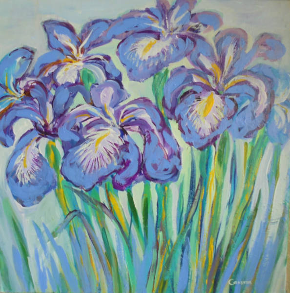 Irises - Acrylic - 18 x 18 inches - SOLD