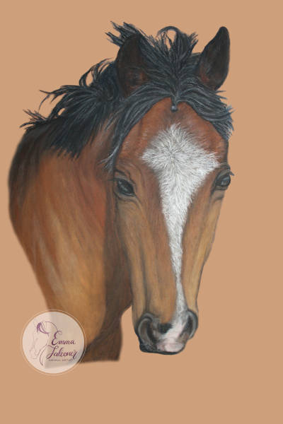 Thoroughbred "Rocky" - 24 x 30cm - Pastels on Pastelmat Paper