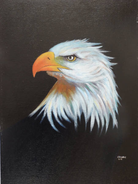 American Bald Eagle - Acrylic - Original Artwork - Unframed - 16 x 12ins
