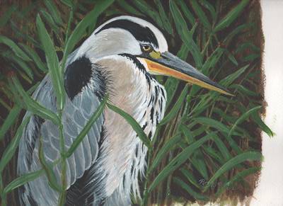 Heron - Acrylic on Paper