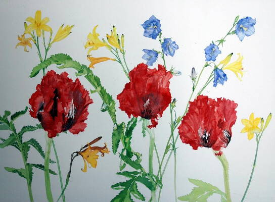 Primaries - 53 x 73 cm - Watercolour