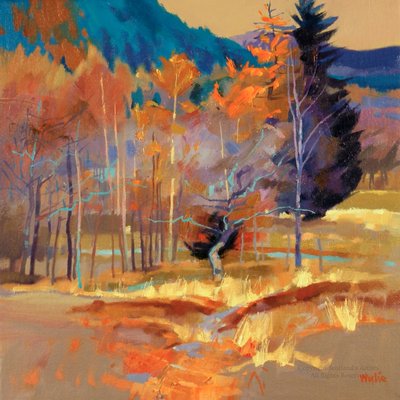 Braemar Woodland - Oil on Canvas - 30 x 30cm