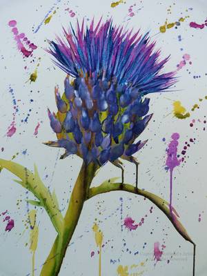 Thistle Blue - Watercolour - A3 approx - 2015
