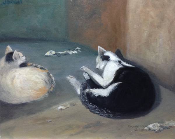 Cats - Oil - 2016 - 50 x 40 cm - £250