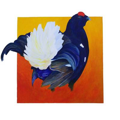 Black Grouse - Acrylic on Canvas - 24ins x 24ins