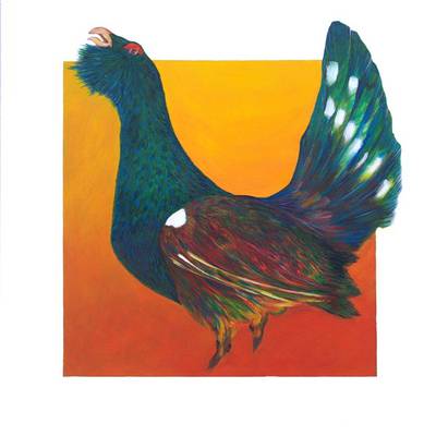 Capercaillie - Acrylic on Canvas - 24ins x 24ins