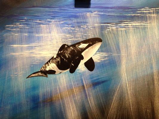 Orca - Acrylic on Canvas - 20ins x 16ins