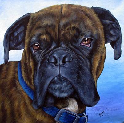 Diesel-Pet Portrait - Acrylic - 2016 - 40 x 40cm