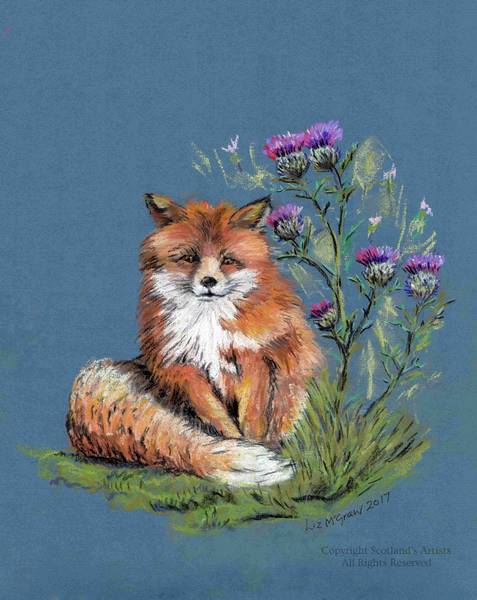 Fox in the Thistles - Pastel Drawing