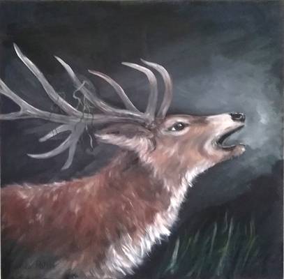 Roaring Stag - Acrylics - 100cm x 100cm - unframed - 2016