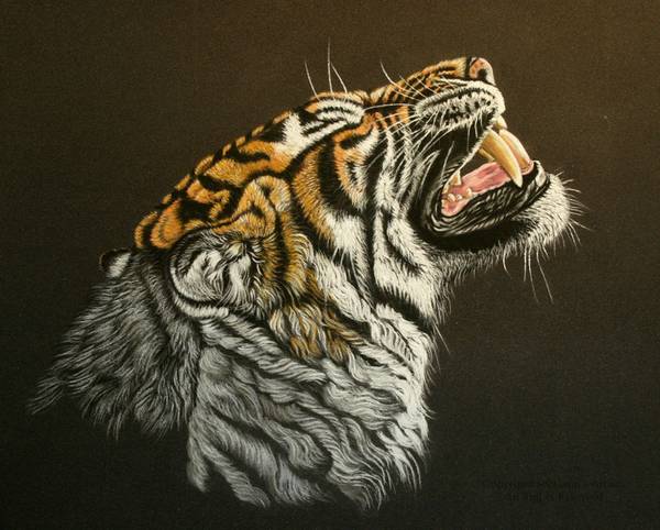 Before the Kill - 26ins x 22ins - Pastel - 2018