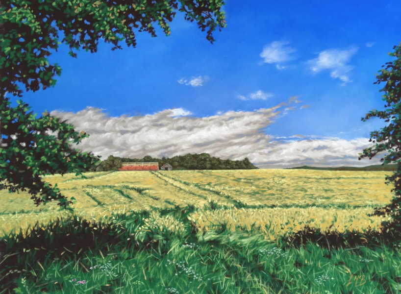 Summer Field From The Lane - Soft Pastel and Pastel Pencil - 2020 - 30 x 40cm