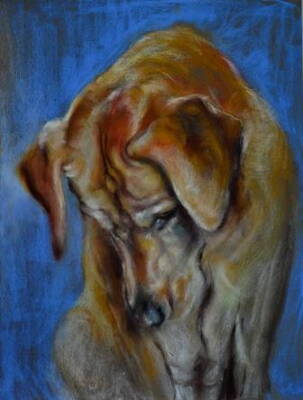 Hamish - 