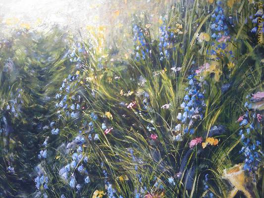 Path through the Wildflowers