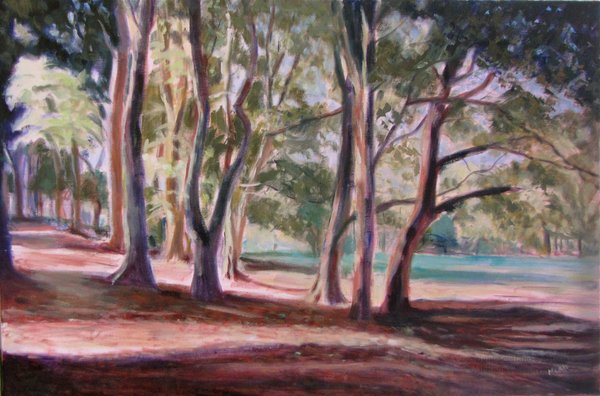 Trees  Belleisle - 24 x 36ins - 2013