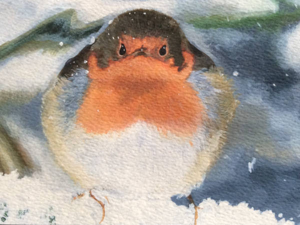 Fat Robin - Acrylic