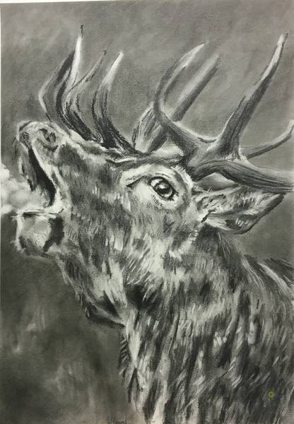 Misty breath - A2 - Charcoal