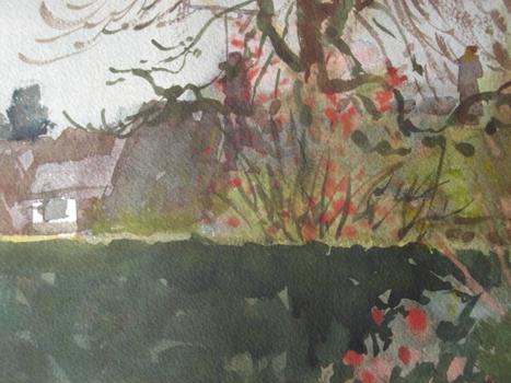 Garden in Spring -  watercolour