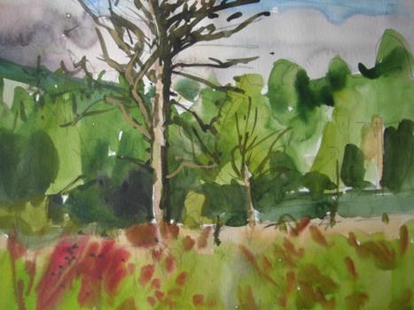 Dead Tree - watercolour