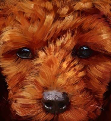 Terrier