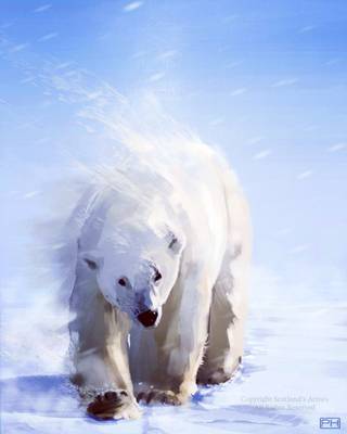 Disappearing Beauty