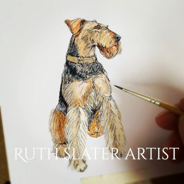 Pet portrait commission