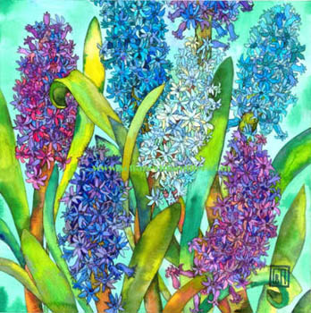 Hyacinths - 50 x 50 cm