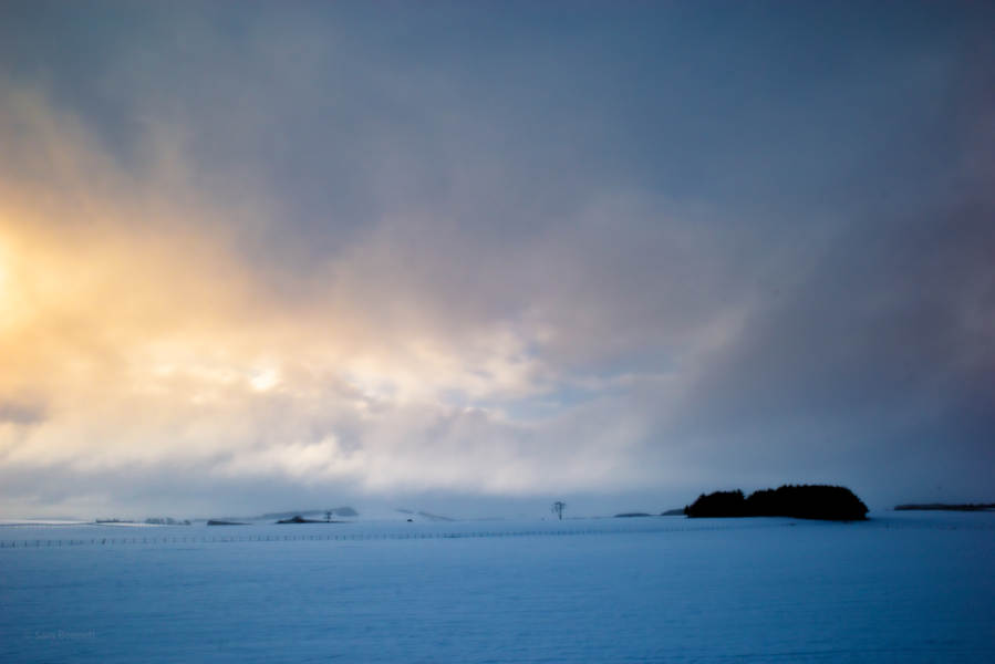 Snowy field at Bannockburn