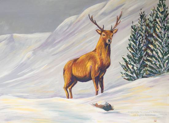Snow Stag