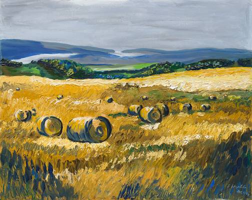 Speyside Hayfield