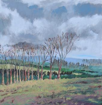 Autumn Trees - Acrylic on Canvas