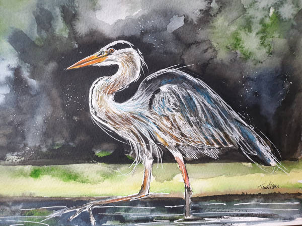 Heron in the River