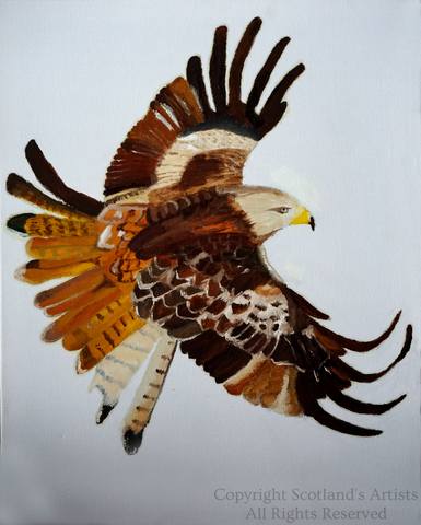Red Kite - Oil on Canvas - 2014 - 40 x 50 x 2cm