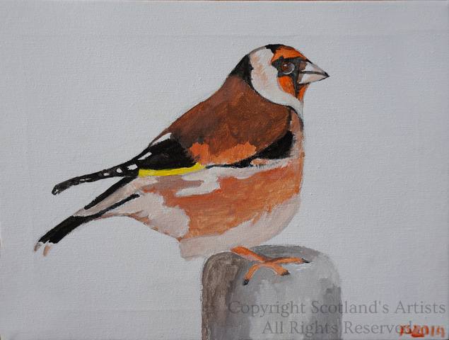 Goldfinch - Acrylic on Canvas - 2014 - 20 x 30cm
